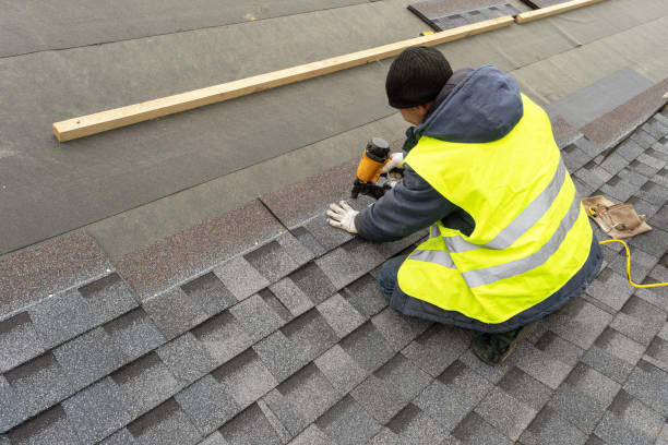 Best Sealant for Roof  in Stanton, MI