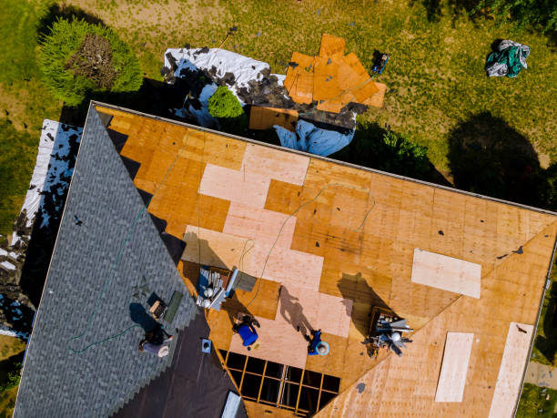 Best Roof Repair Services  in Stanton, MI