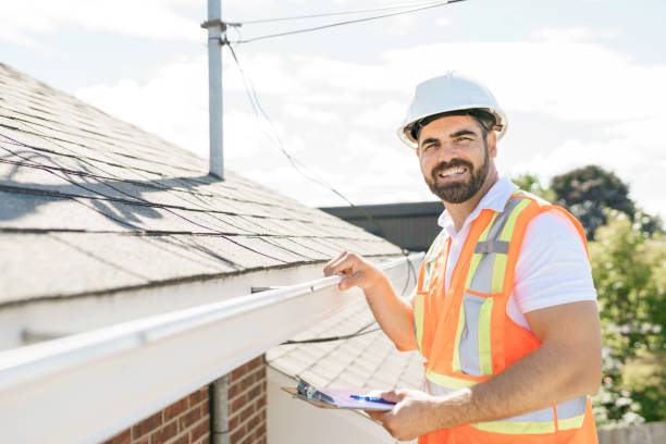 Best Roof Gutter Cleaning  in Stanton, MI