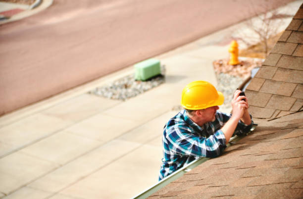 Best Roof Waterproofing Services  in Stanton, MI