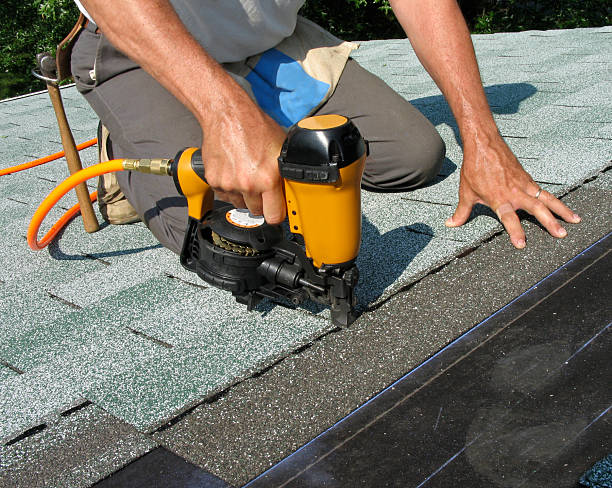 Best Roof Restoration Services  in Stanton, MI