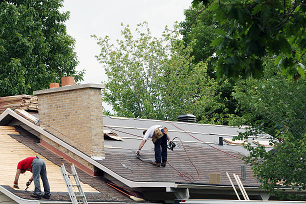 Best Roof Repair Services  in Stanton, MI