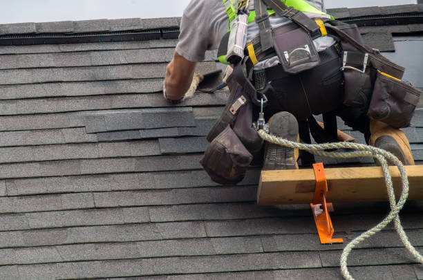 Best Gutter Installation and Roofing  in Stanton, MI