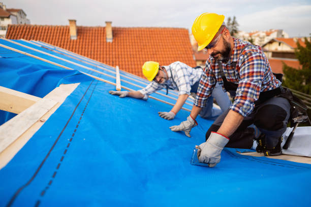 Best Residential Roofing Contractor  in Stanton, MI