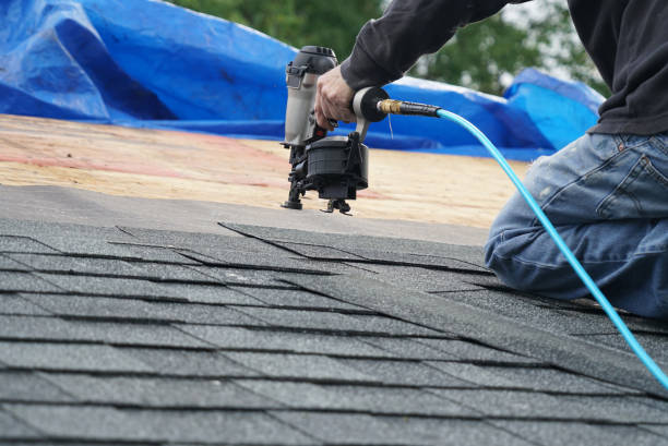 Best Roof Restoration Services  in Stanton, MI
