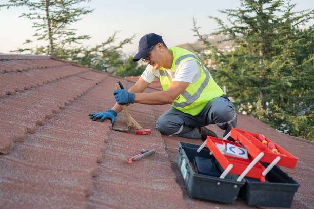 Best Roof Leak Repair  in Stanton, MI