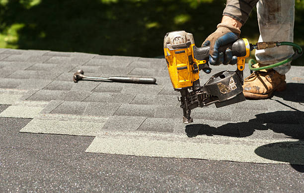 Best Flat Roof Repair Services  in Stanton, MI