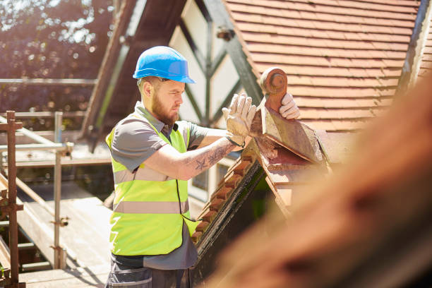 Best Roof Repair Services  in Stanton, MI