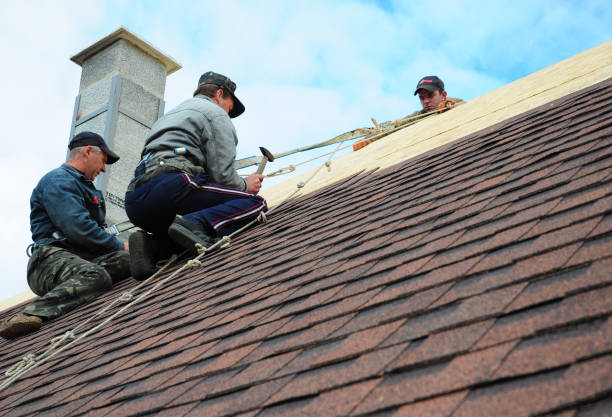 Best Commercial Roofing Services  in Stanton, MI