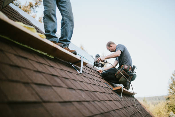 Best Local Roofing Companies  in Stanton, MI