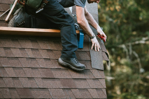 Best Roof Repair Services  in Stanton, MI